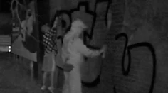 Umenie alebo vandalizmus? Fasáda rodinného domu sa stala terčom sprejerov. Právnik hovorí o trestnom čine