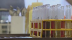 Kontaminácia pesticídmi: Ako obstáli v testoch slovenské potraviny v porovnaní so zahraničnými?