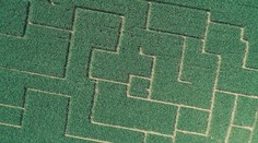 Chcete sa stratiť v kukurici? Ukážeme vám unikátne a obrovské slovenské bludisko