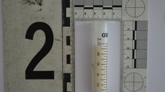 Seredčanka na materskej mala pri sebe 200 dávok pervitínu