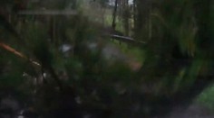 Horor v aute v Nízkych Tatrách. Rodina si takmer nakrútila vlastnú smrť