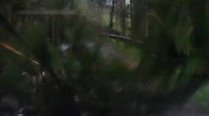 Horor v aute v Nízkych Tatrách. Rodina si takmer nakrútila vlastnú smrť