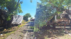 Tragická nehoda pri Dunajskej Strede. Vodič nákladiaku neprežil náraz do stromu