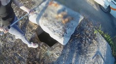 Za topenie šteniat si bývalí mestskí policajti vypočuli definitívny rozsudok