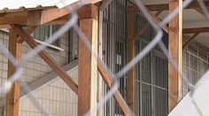 Pátrali sme, kde by na Slovensku hospitalizovali pacienta s ebolou