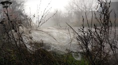 Donbas pokryla smrtiaca pavučina. Obrovský problém, s ktorým sa Ukrajina bude boriť ešte veľa rokov po vojne