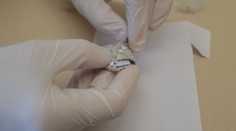 Smutný koniec prednášky o drogách: Keď policajti otvorili tašku študentky, zostali prekvapení