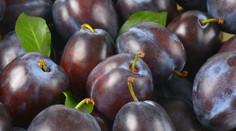 Zdravie v malom balení: Toto ovocie môže znížiť riziko srdcových chorôb