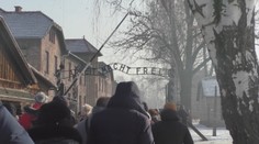 Vedci skúmali, ako vidia mladí ľudia niektoré udalosti našich dejín: To čo počuli, ich šokovalo