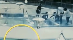 Chvíle hrôzy v nákupnom centre: Žena zakopla a spadla do nádrže so žralokmi