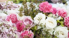 Na MDŽ ženy potešia hlavne kvety, ale aj víno i borovička