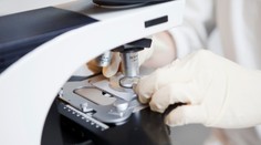 Holandské spermobanky porušovali pravidlá. Desiatky darcov sú otcami aspoň 25 detí, môže ísť o problém