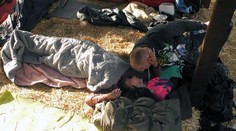 Milostný trojuholník na Farme? Na Mišu si vraj brúsil zuby aj niekto iný!