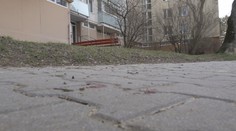 Psa, ktorý v Trenčíne vážne zranil ženu, dali utratiť. Veterinárka naznačila, čo mohlo vyprovokovať útok