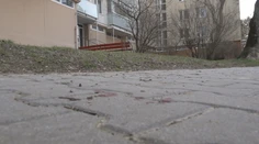 Psa, ktorý v Trenčíne vážne zranil ženu, dali utratiť. Veterinárka naznačila, čo mohlo vyprovokovať útok