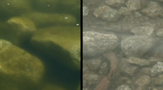 Boli sme sa pozrieť, či sa Štrbskému Plesu vrátila pôvodná farba