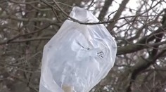 Namiesto snehu majú na stromoch vrecká