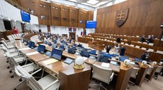 Mimoriadna schôdza NR SR o energopomoci bude v piatok ráno
