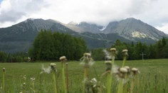 Na Slovensko dorazí výrazné ochladenie. Teplota klesne pod kritickú hranicu, varuje meteorologička