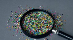 Vedci objavili mikroplasty vo všetkých mužských aj psích semenníkoch, ktoré skúmali