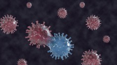 Vedci vystopovali mutáciu koronavírusu, ktorá môže za ťažký priebeh pandémie