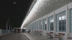 Známy piešťanský most zaplavili podenky. Jedinečný úkaz môžete zažiť len niekoľko dní