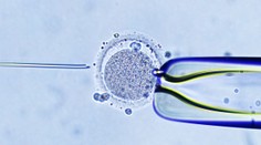 Žena nevedomky porodila cudzie dieťa. V klinike jej implantovali nesprávne embryo