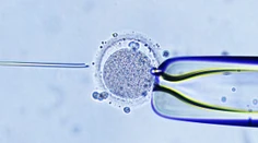 Žena nevedomky porodila cudzie dieťa. V klinike jej implantovali nesprávne embryo