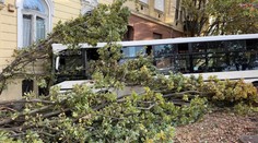 FOTO+VIDEO: Desivá nehoda u našich susedov: Autobus narazil do budovy gymnázia, viacero ľudí sa zranilo