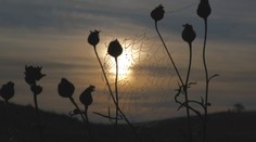 Užívame si už babie leto alebo ešte len príde? Klimatológ prináša jednoznačnú odpoveď