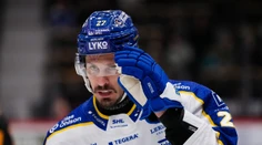 Po nečakanom konci vo Švédsku si rýchlo našiel nový klub. Hrivík bude pôsobiť v Česku