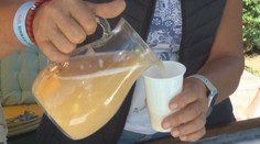 Prichádza sezóna burčiaku. Vinári radia, ako nájdeme tie najlepšie