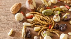 EÚ prvýkrát povolila zaradenie hmyzu do zoznamu potravín na trhu. Pozrite sa, ktorý druh