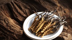 Spôsob jej prežitia a rozmnožovania otočili proti nej. Z tejto huby spravili zbytočne hrozbu