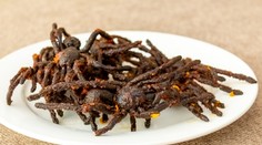 Do rebríčka 100 najhorších jedál sveta sa dostali aj dvaja zástupcovia Slovenska