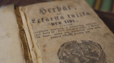 Ako sa liečila chrípka v minulosti? Budete prekvapení