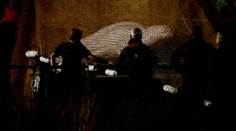 Záchrana veľryby, ktorá uviazla v Seine, sa skončila tragicky