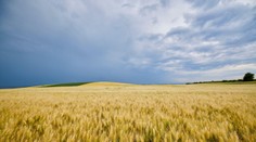 Vytúžená zmena počasia poteší najmä záhradkárov. Úmorné sucho zmierni niekoľko vĺn zrážok