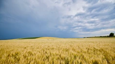 Vytúžená zmena počasia poteší najmä záhradkárov. Úmorné sucho zmierni niekoľko vĺn zrážok