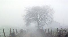 Intenzita hmiel bude narastať. Pozor, v noci už teplota klesá pod nulu