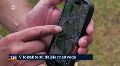 V lokalite sú ďalšie medvede