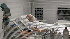 Ľudia po prijatí transplantovaného orgánu môžu dediť po darcovi aj spomienky, naznačuje štúdia
