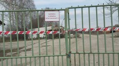 Rozhodnú najbližšie týždne. Štát sprísňuje pravidlá v boji proti nákaze slintačky a krívačky