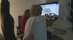 COVID-19 pod mikroskopom: Ukážeme vám obrázky zo sveta, ktorý je voľným okom neviditeľný