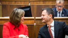 Čo bude po demisii ministrov zo SaS? Tu je niekoľko možností