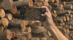 Kšeftuje sa s drevom zo slovenských lesov? SaS hovorí o netransparentnosti, štátny podnik podozrenia odmieta