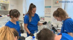 Počas epidémie dokázali, že sú nezastupiteľní. Vedcom však štát zväzuje ruky