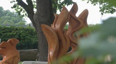 Niekto sa ich necitlivo zbavil. V Liptovskom Mikuláši však našli spôsob, ako otrávené staré lipy zachovať