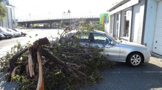 Víchrica v Česku má štvrtú obeť: Muža na prechádzke so psom zabil padajúci strom