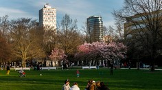 Zažijeme extrémne teplotné skoky až 18 °C. Počasie na Slovensku sa zblázni